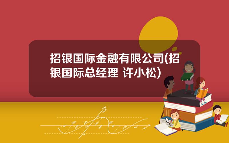 招银国际金融有限公司(招银国际总经理 许小松)